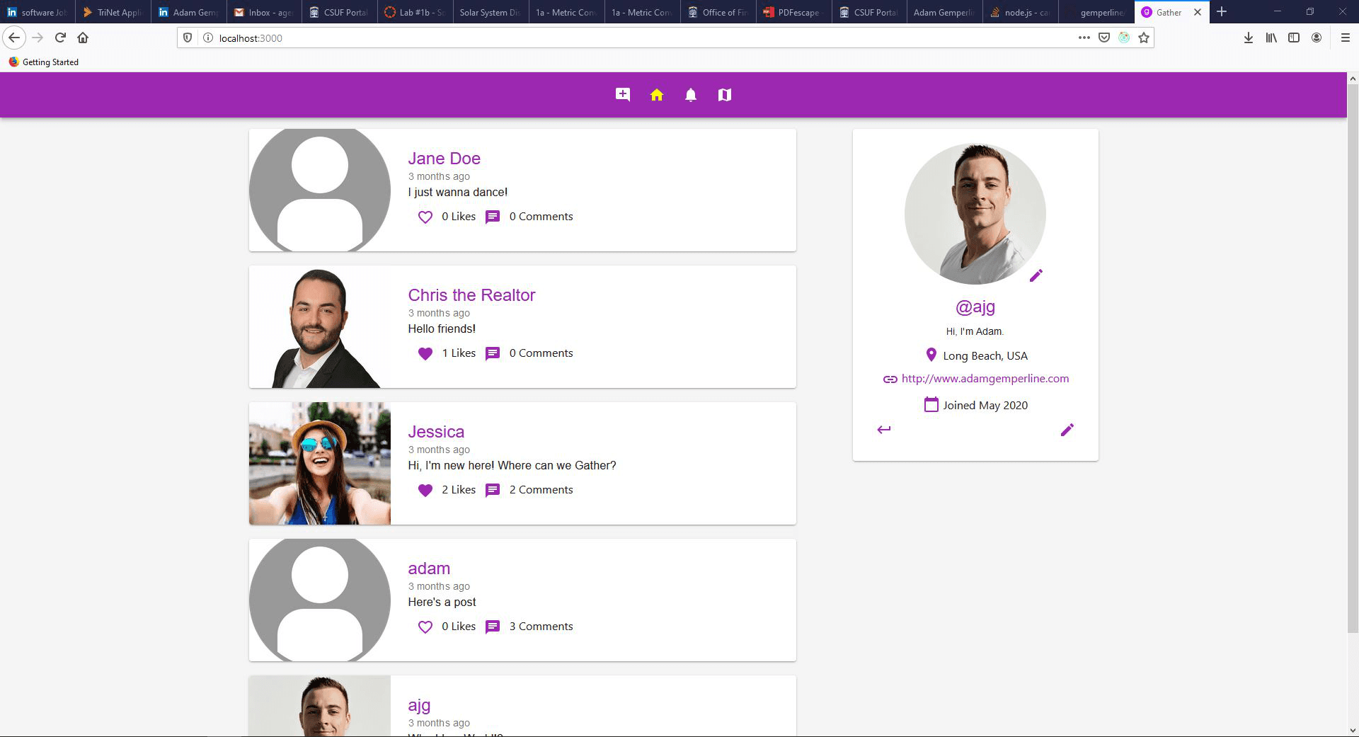 Project screenshot 1